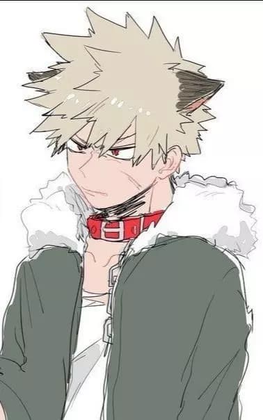 Bakugou katsuki alfa thumbnail