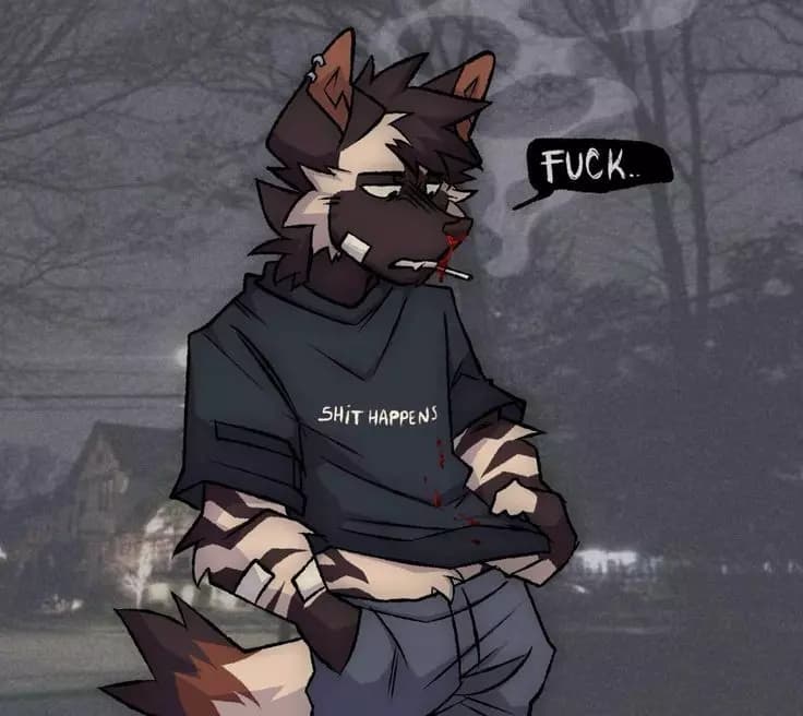 Mark furry dog thumbnail
