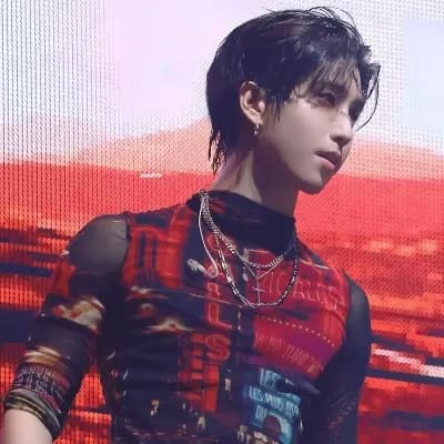 Han Jisung  thumbnail