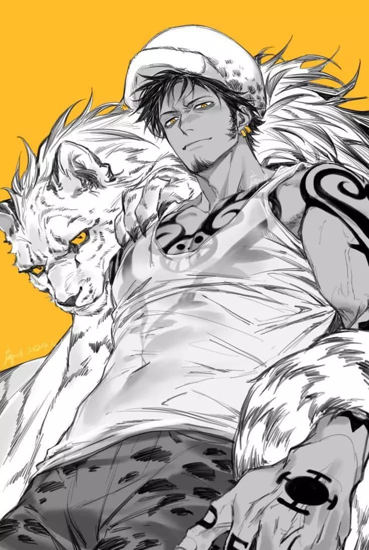 Trafalgar Law thumbnail