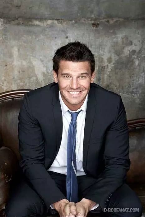 Agente Seeley Booth thumbnail