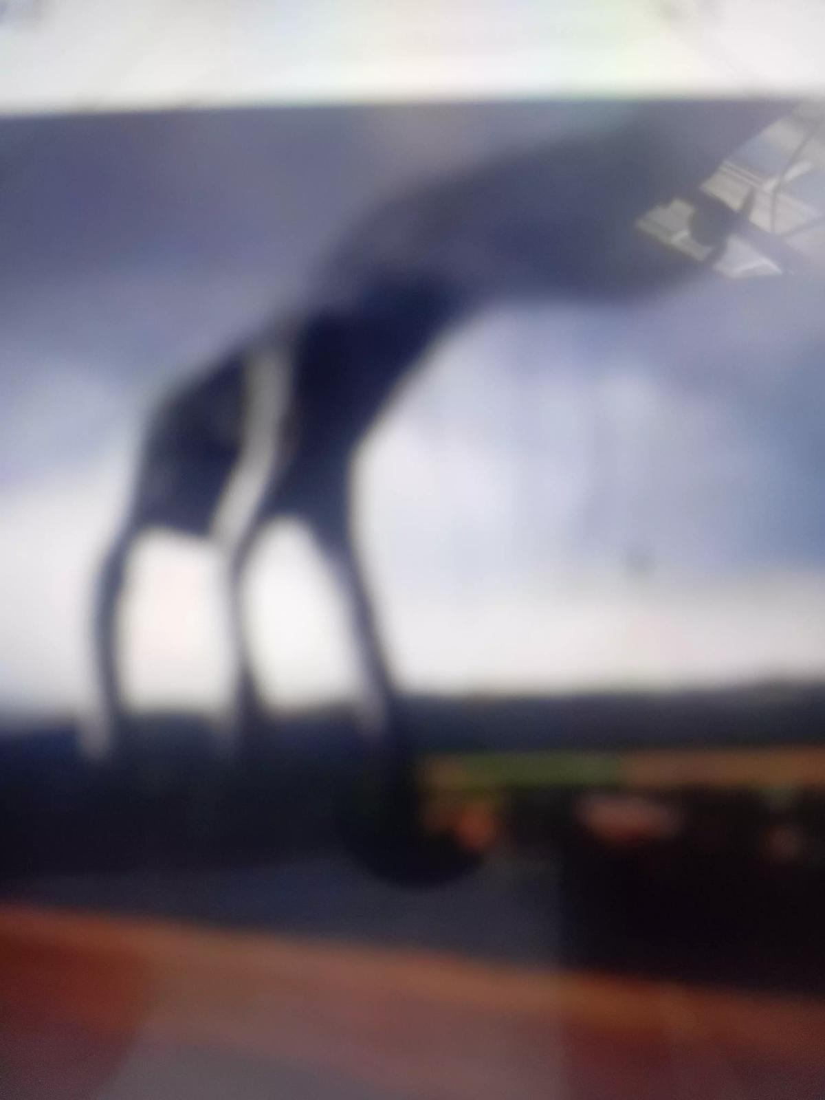 day 17  thumbnail