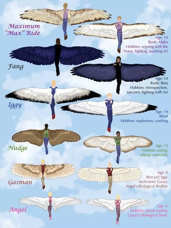 Maximum ride Flock thumbnail