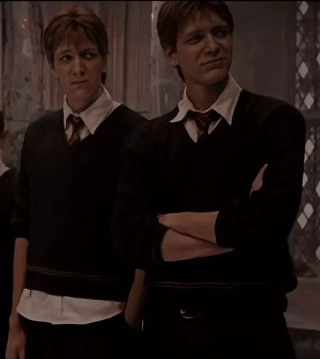 George y fred Weasley thumbnail