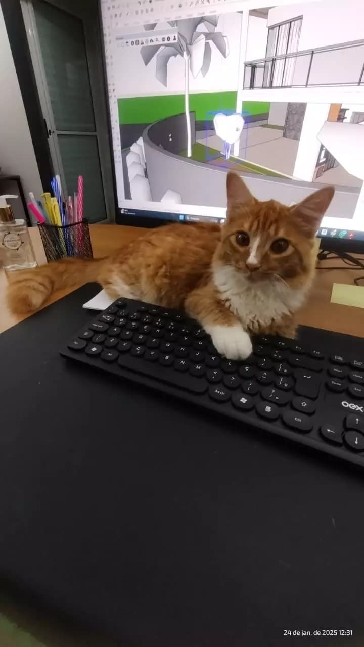 Miaumi thumbnail