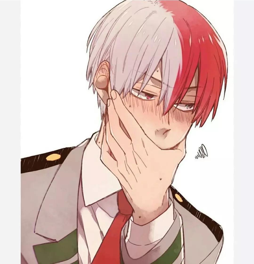 Shoto Todoroki  thumbnail