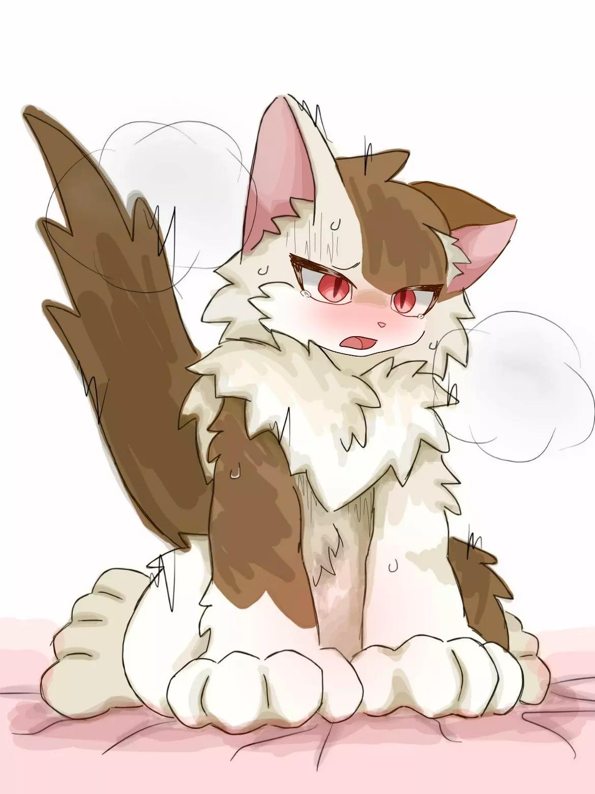 Felicia thumbnail