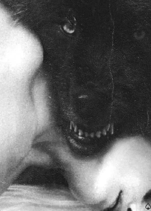 Lucian / Lobo thumbnail