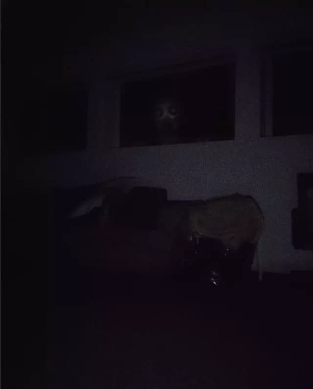 Horror in Company thumbnail