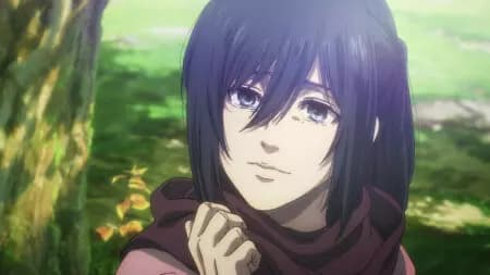 Mikasa thumbnail