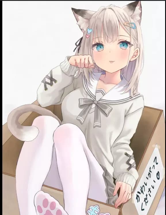 Girlfriend or pet in a box  thumbnail
