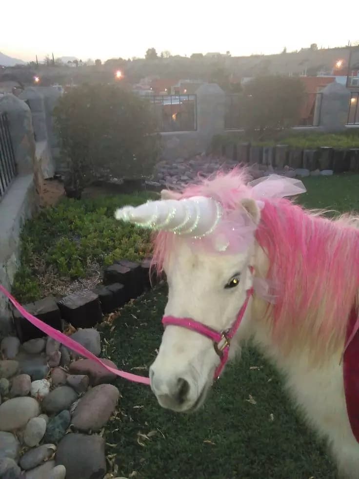 Unicornio 🦄🙄 thumbnail