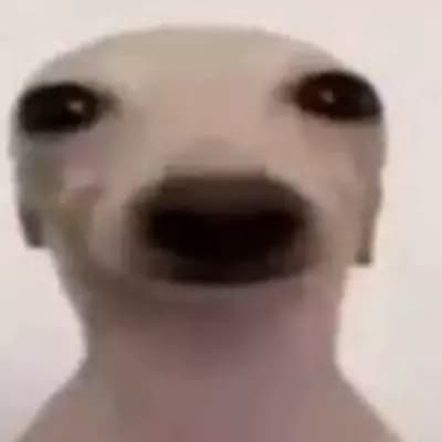 Firulais thumbnail