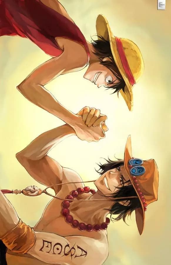 Ace y Luffy thumbnail
