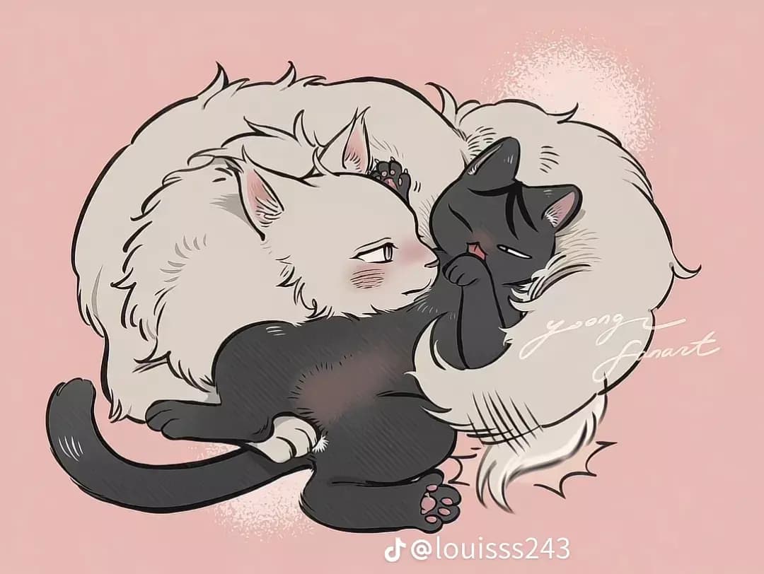 Kitty Taeju thumbnail