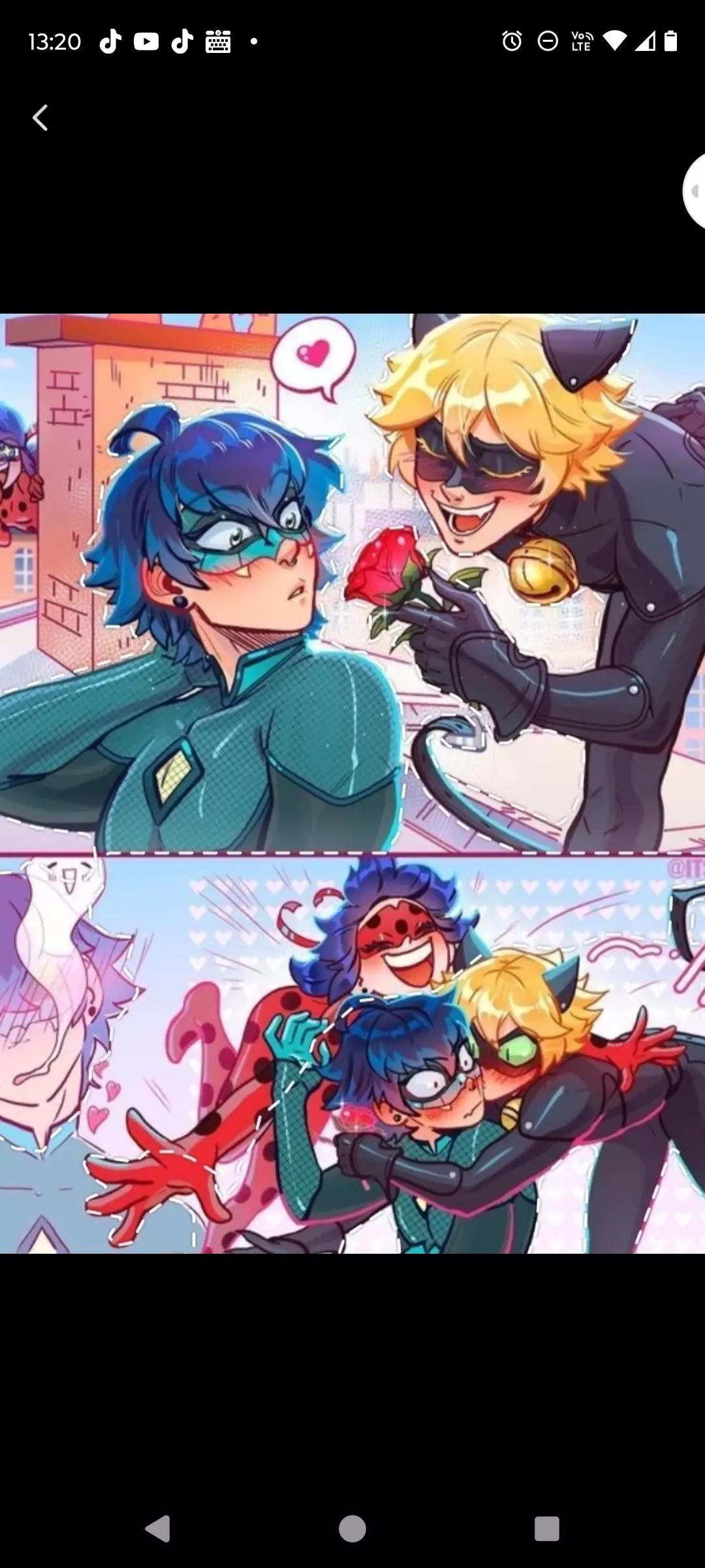 Cat noir thumbnail