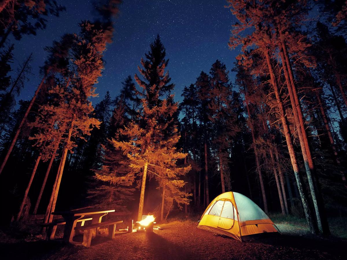 Camp Red Lake: A Rehabilitation Summer Camp for Troubled Teens thumbnail