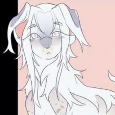 Cocoy thumbnail