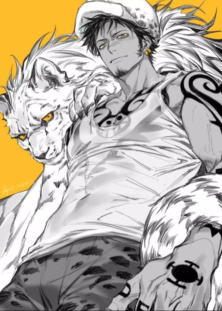 Trafalgar Law thumbnail