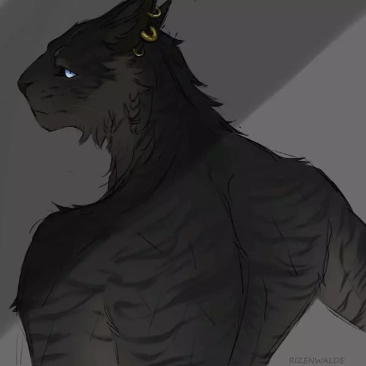 Adiel thumbnail
