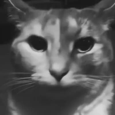 Robert the Cat thumbnail