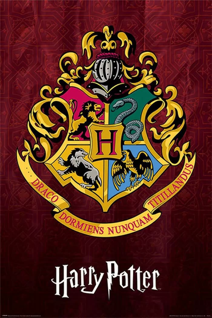 Mundo de harry potter thumbnail