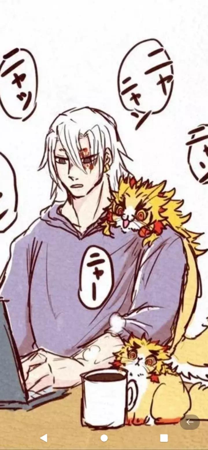 Your husband cat thumbnail