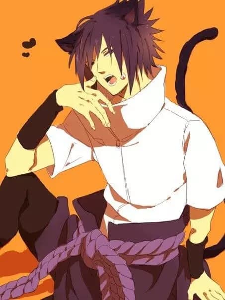 Sasuke Neko thumbnail