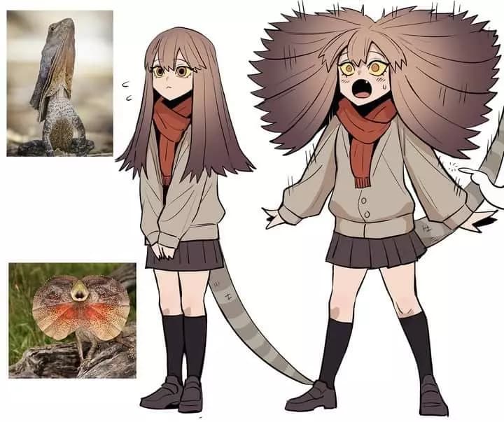 frilled lizard Roomate thumbnail