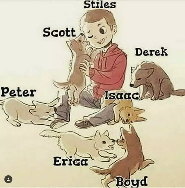 teen wolf, small wolves? thumbnail