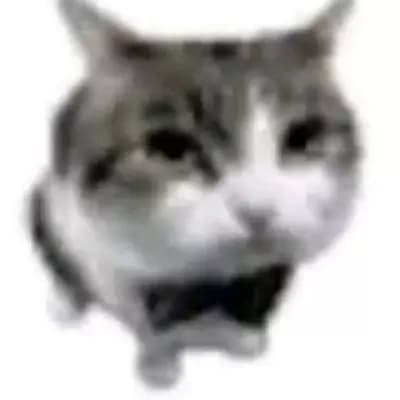 Dumbass Cat thumbnail