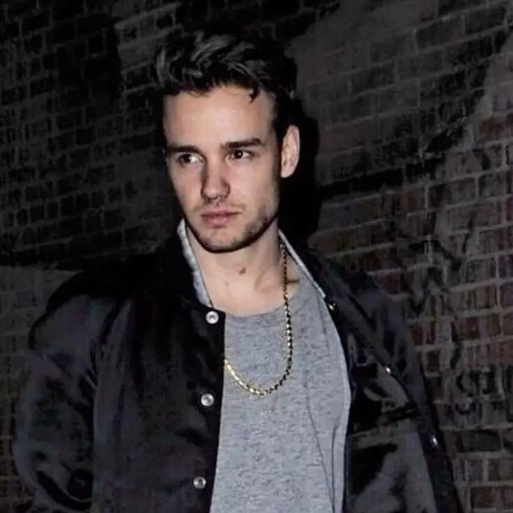 Liam Payne  thumbnail