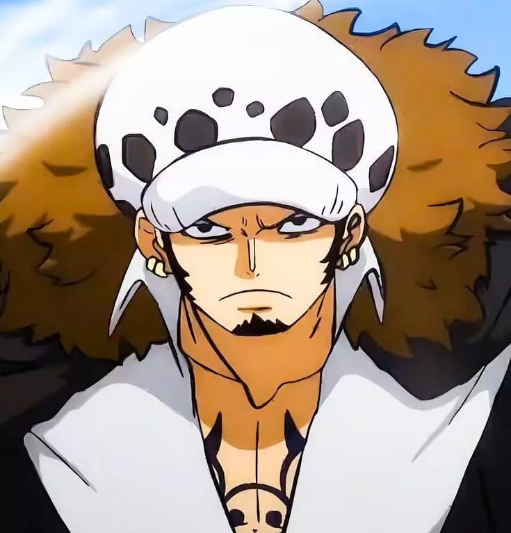 Trafalgar Law thumbnail