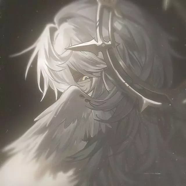 Qyin thumbnail