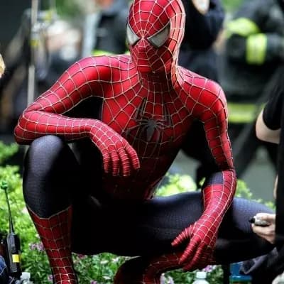 The Spider Man thumbnail