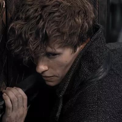 Newt Scamander thumbnail