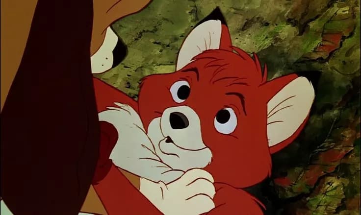 Tod (Dog Zorro) thumbnail