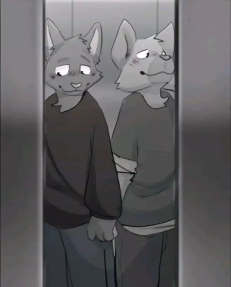 Tus compañeros de cuarto gay thumbnail
