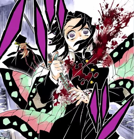 Shinobu vs. Douma thumbnail