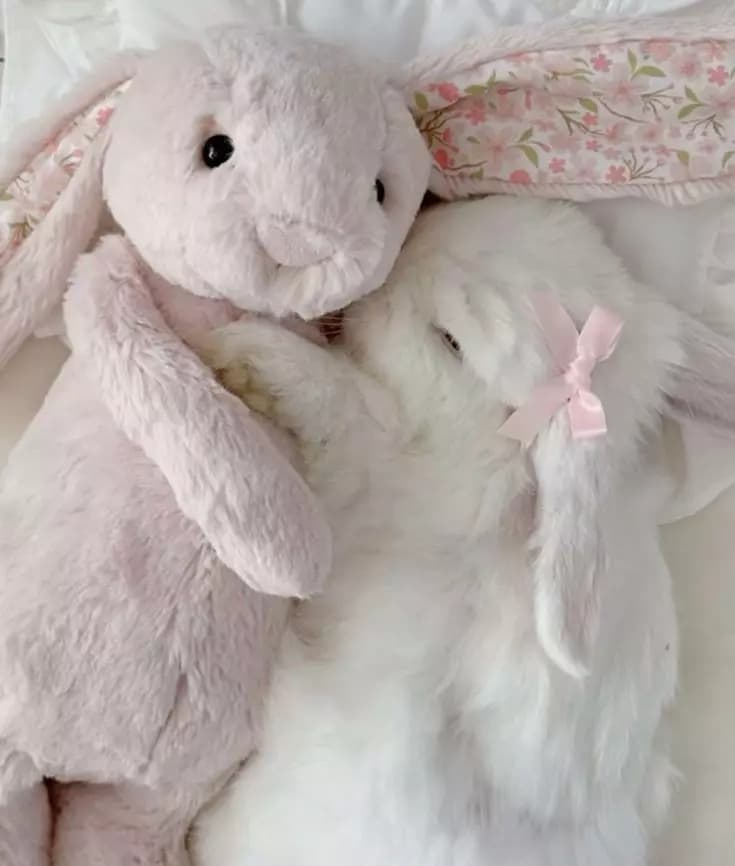 The love of rabbits thumbnail