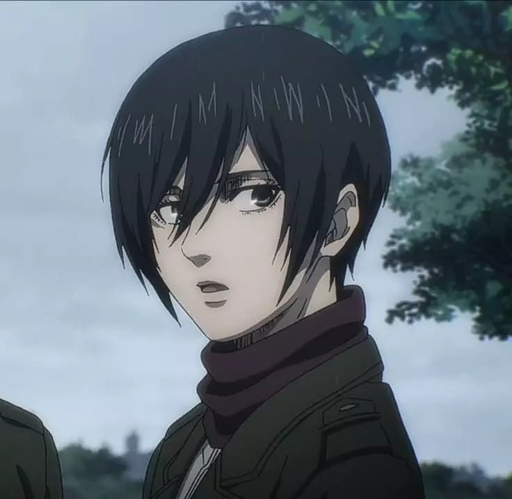 Mikasa Ackerman thumbnail