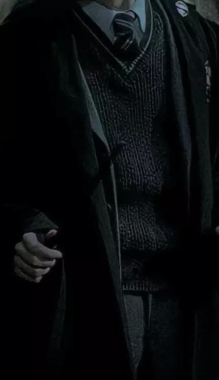 SLYTHERIN BOYS  thumbnail