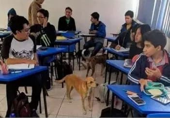 Public School thumbnail