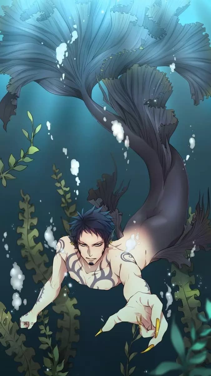 Mer!Law thumbnail