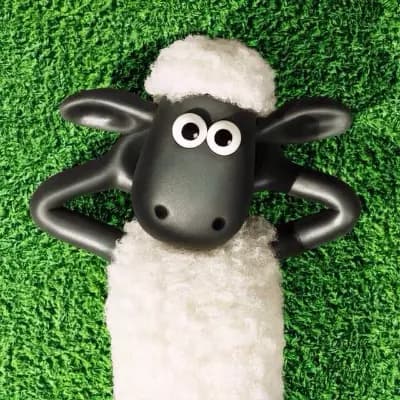 Sheep thumbnail