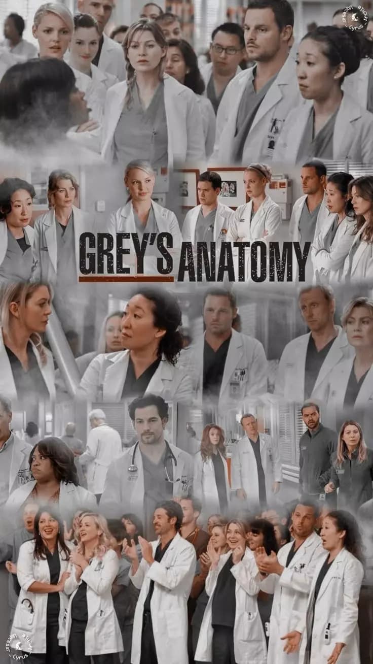 Gray’s Anatomy thumbnail