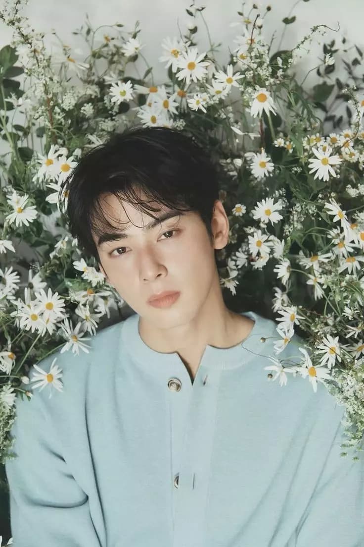 Cha Eun Woo thumbnail