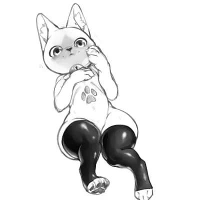 Liora Pawshade thumbnail