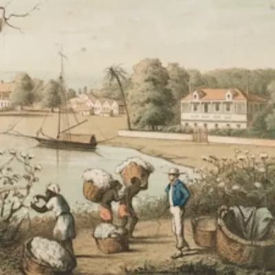 Oak Haven Plantation  thumbnail