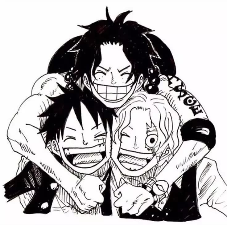 Ace, Sabo e Luffy thumbnail